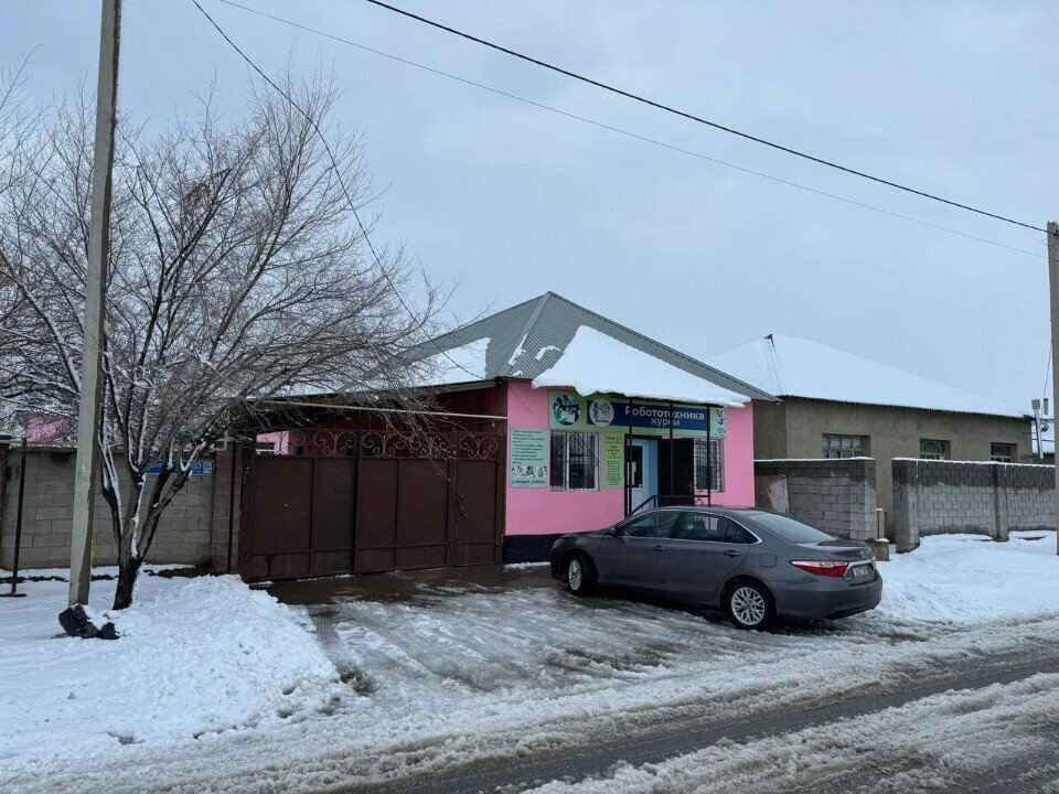 Courses and master classes Robottekhnik, Chimkent, photo