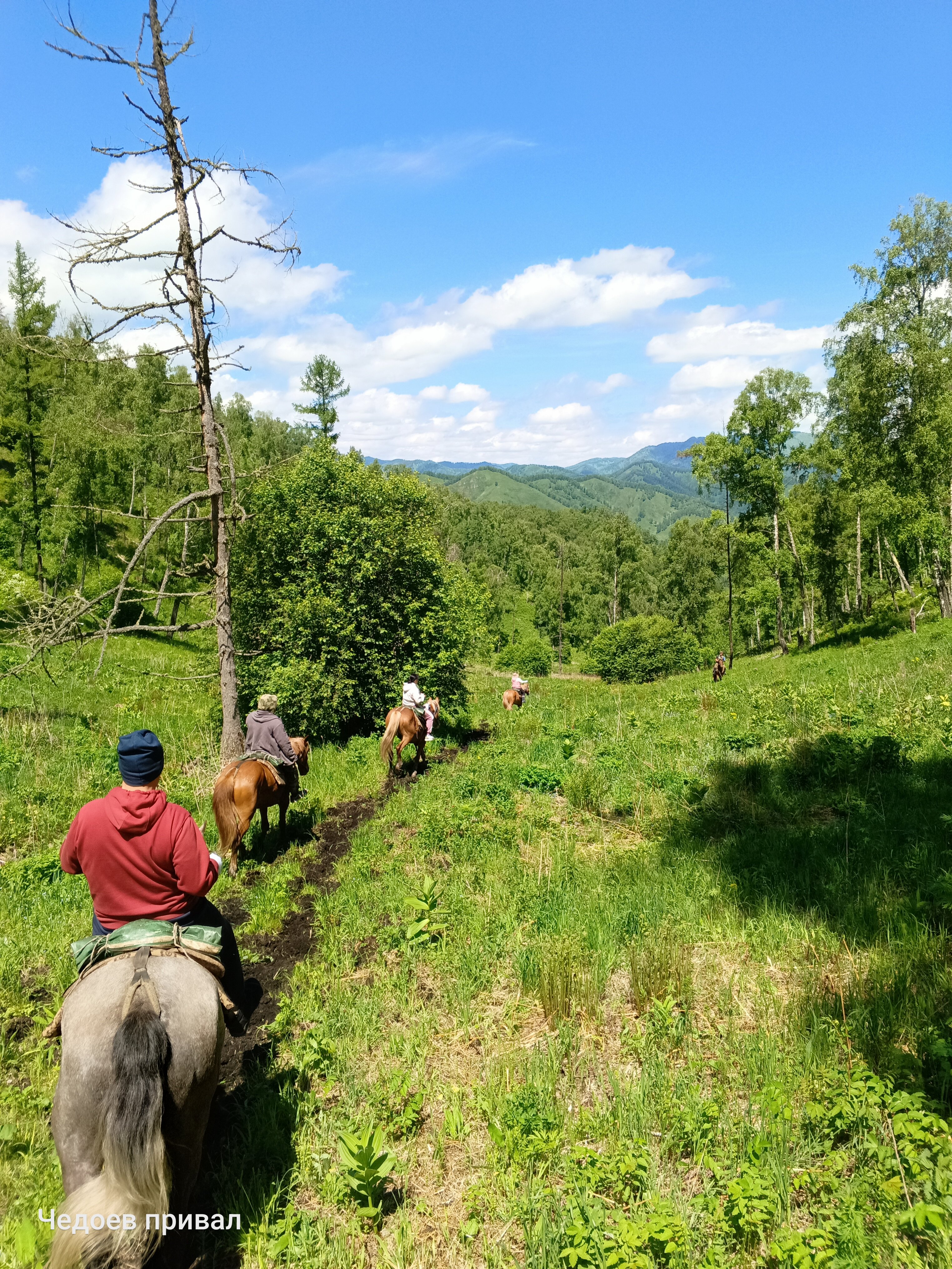 Фото Чедоев привал