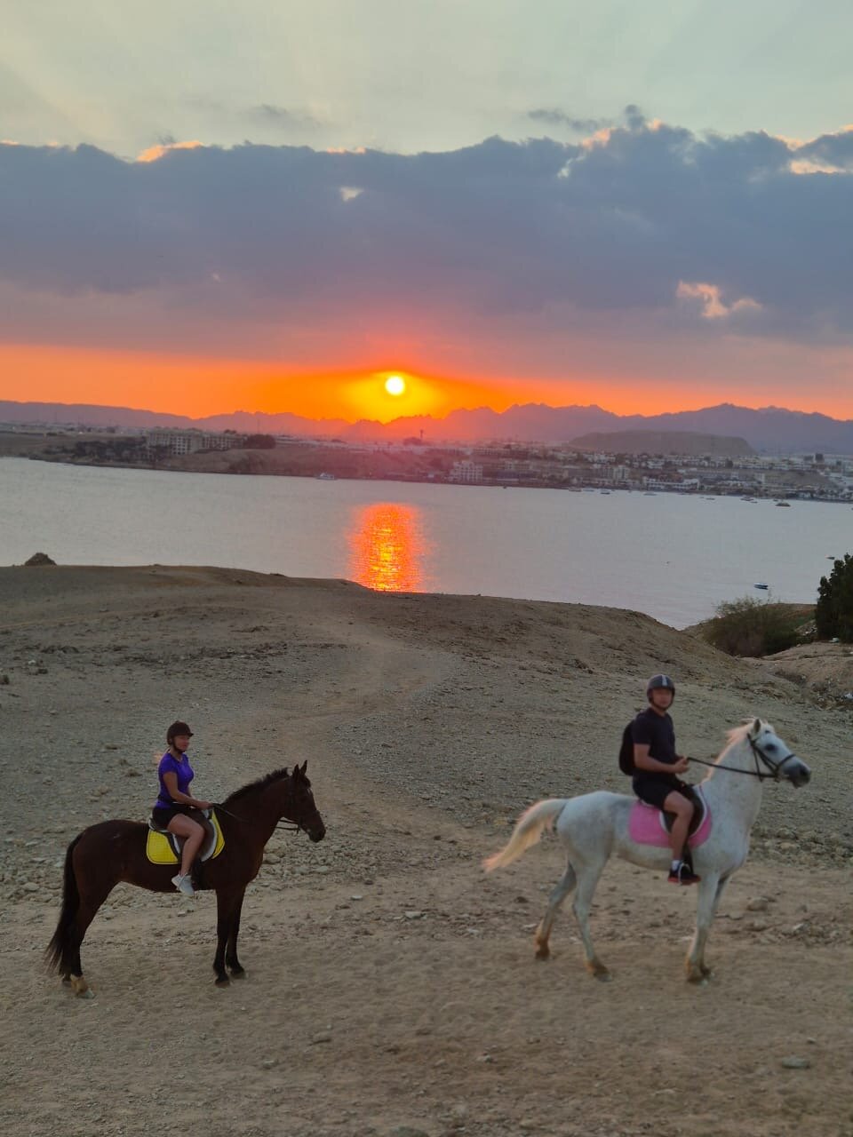 Фото Movenpick Resort Sharm El Sheik 