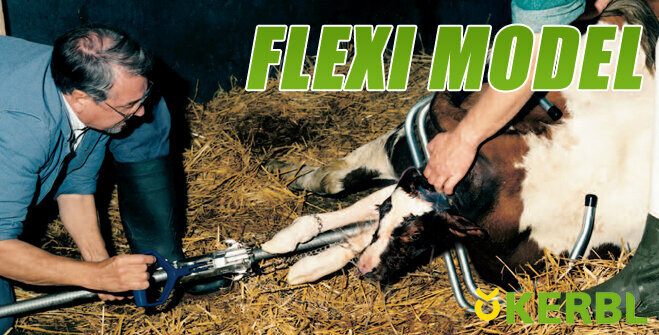 Veterinary drugs and equipment Ilkay Medikal, Ankara, photo