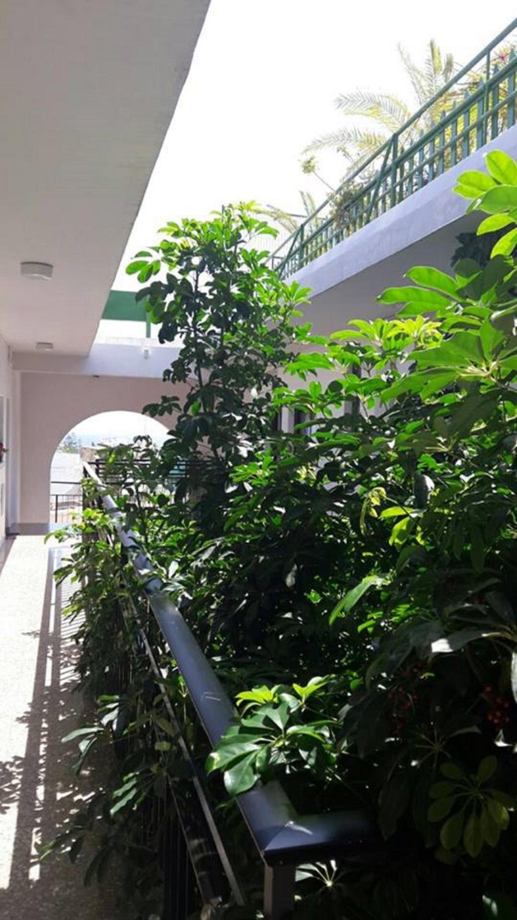 Фото Myriama Apartments