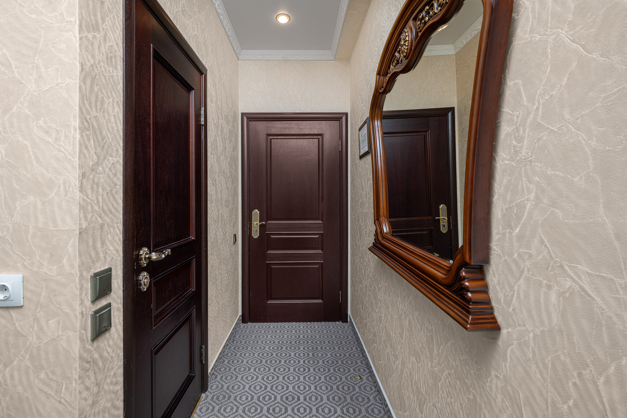 Фото Монарх