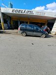Egeli Opel Special Service (İzmir, Bornova, Kazımdirik Mah., 418 Sok., 9), car service, auto repair
