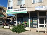 Ecir Real Estate (Izmir, Karabaglar District, Aydin Neighborhood, 4282nd Street, 6A), real estate agency