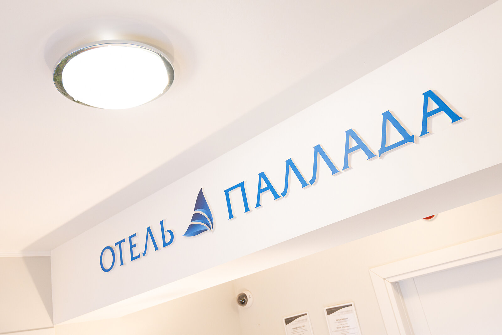 Фото Паллада