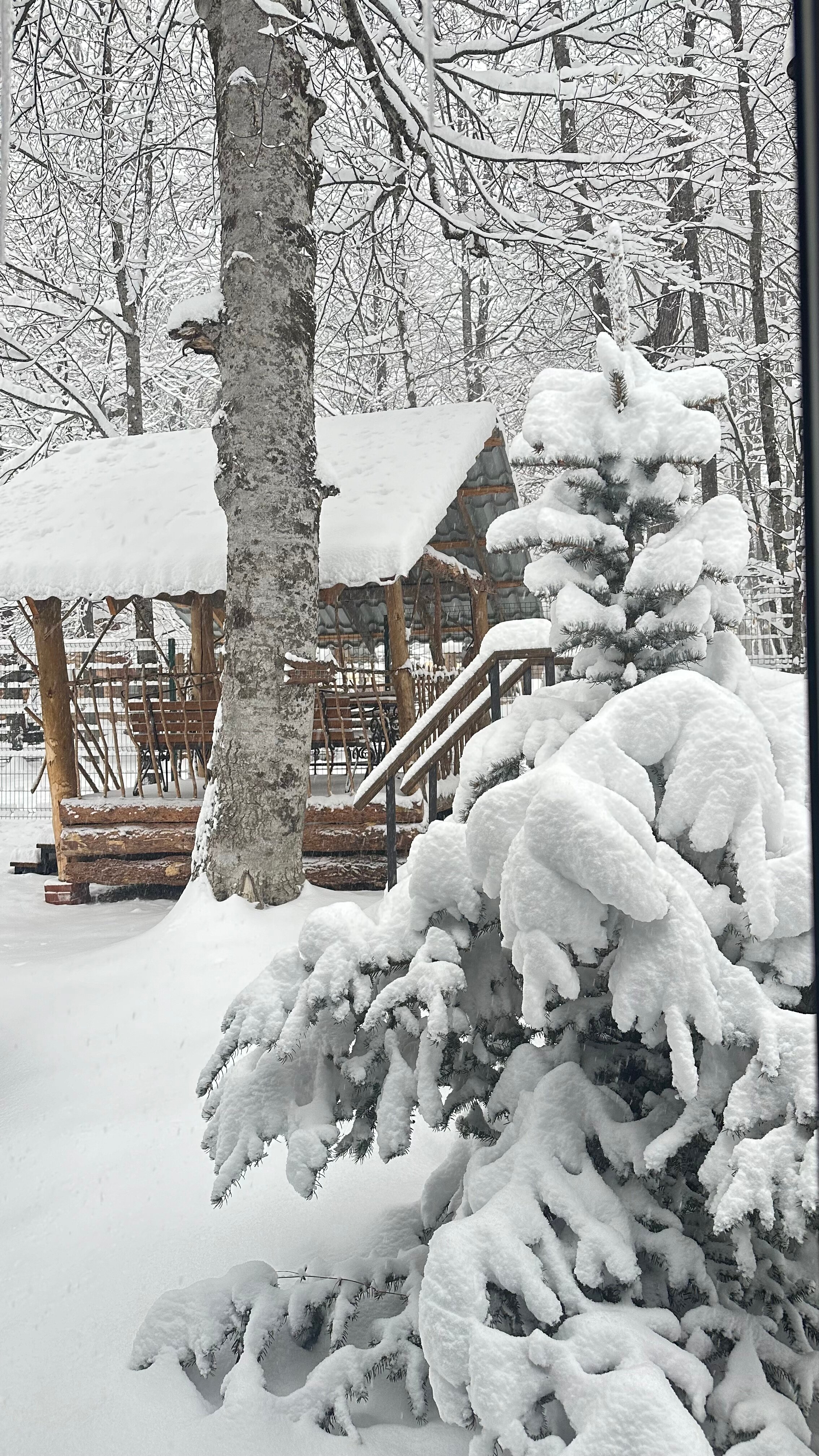 Фото Горный Relax