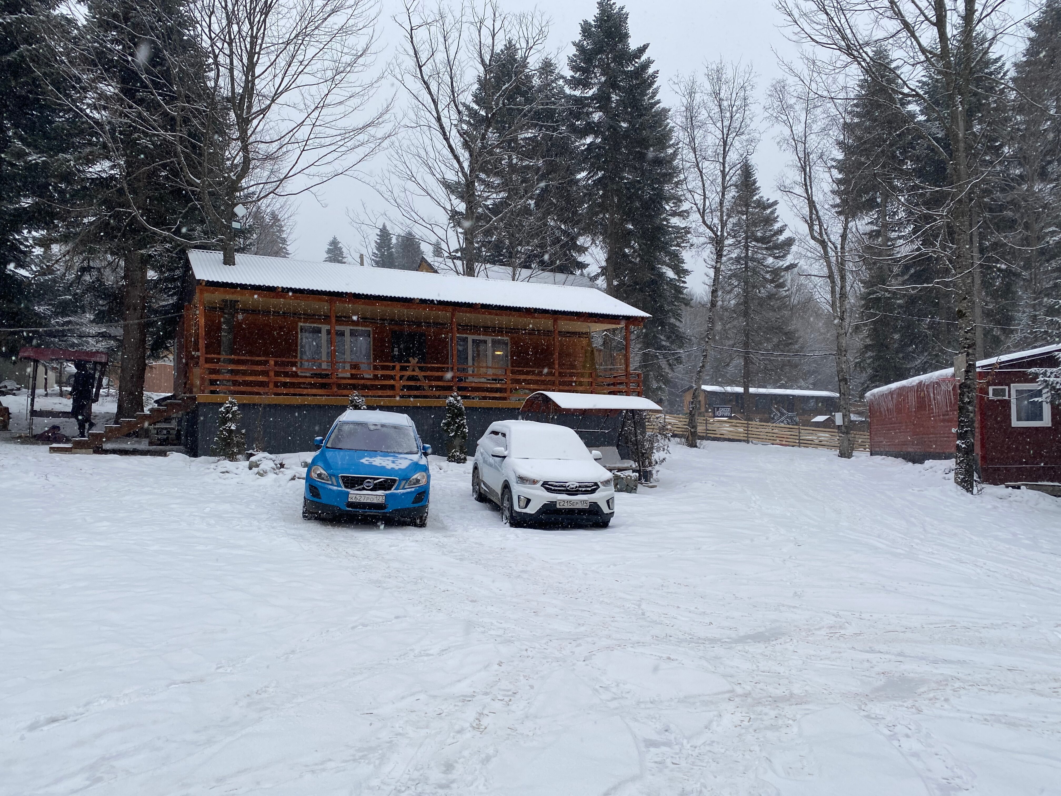 Фото Аргали