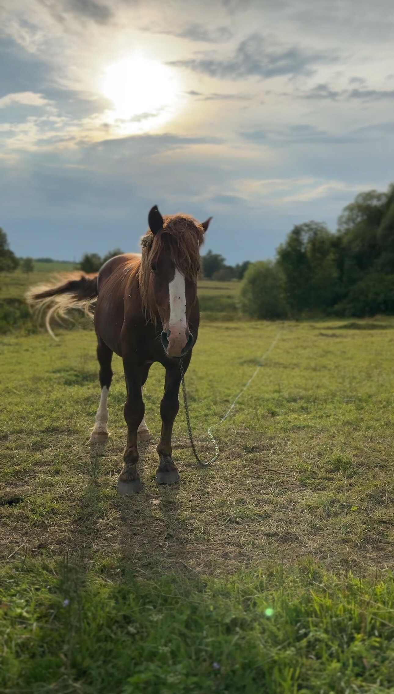 Фото Романовъ home