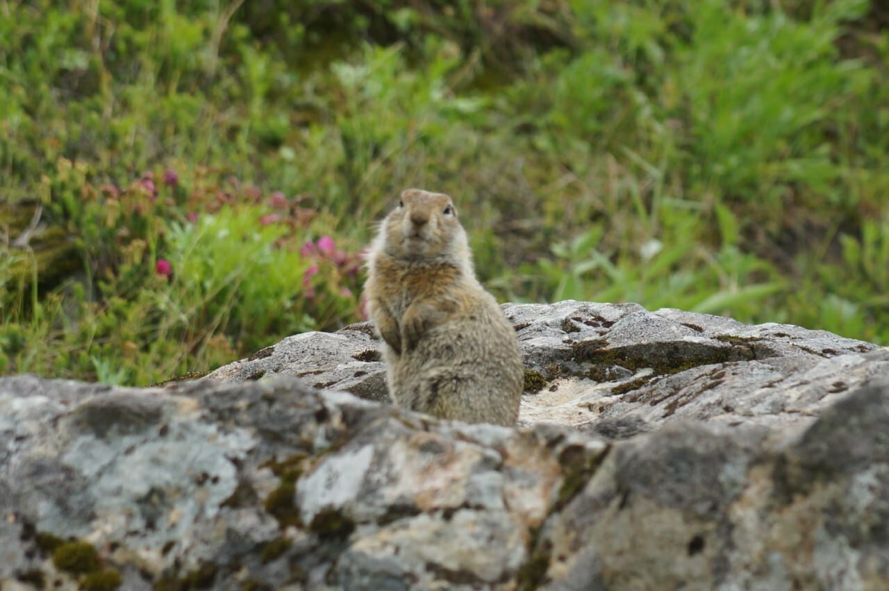 Фото АпачаКамТрэвел