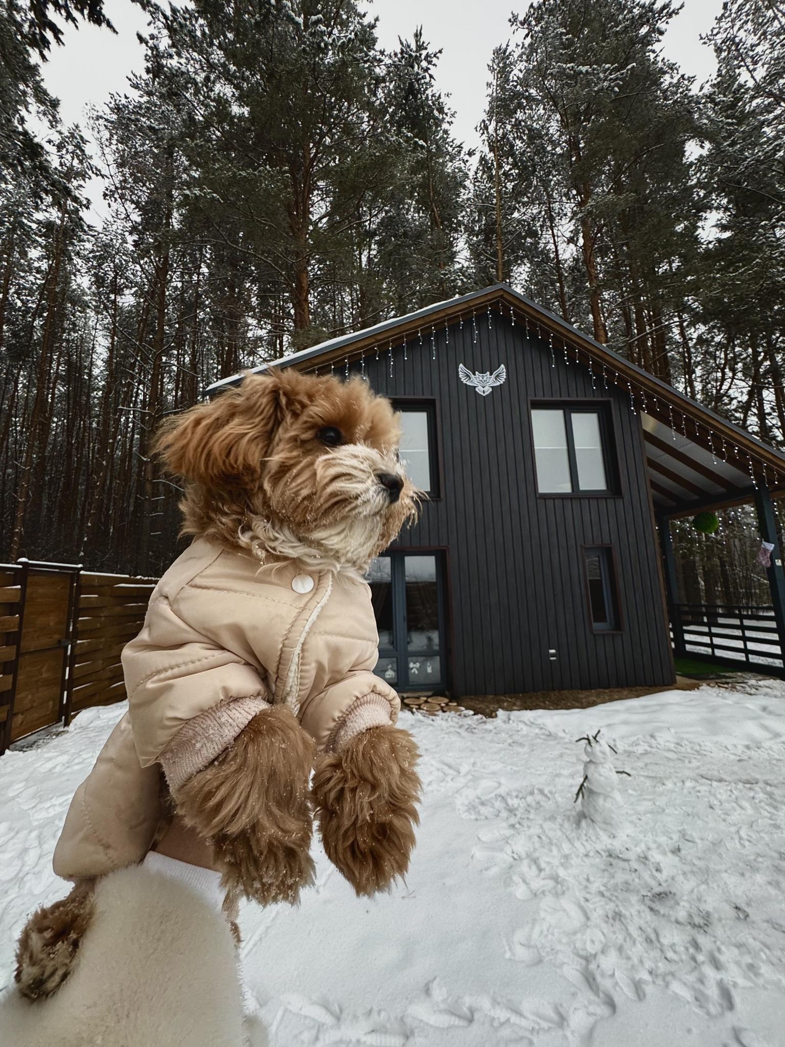 Фото Сова Эко дом с чаном