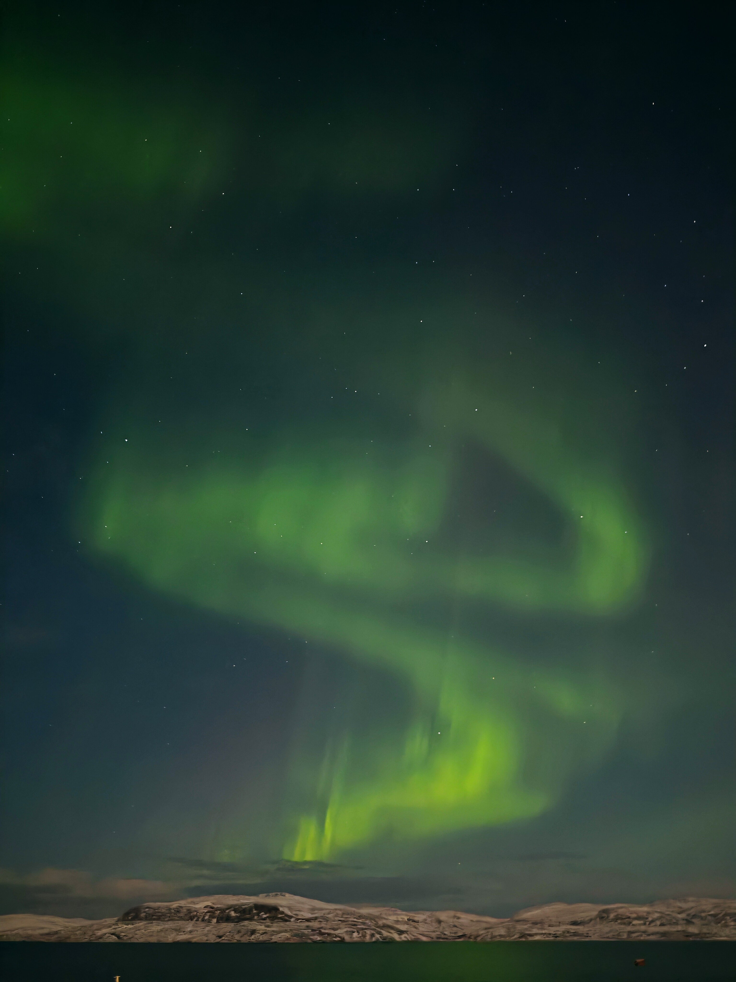 Фото Cedar Grass Териберка
