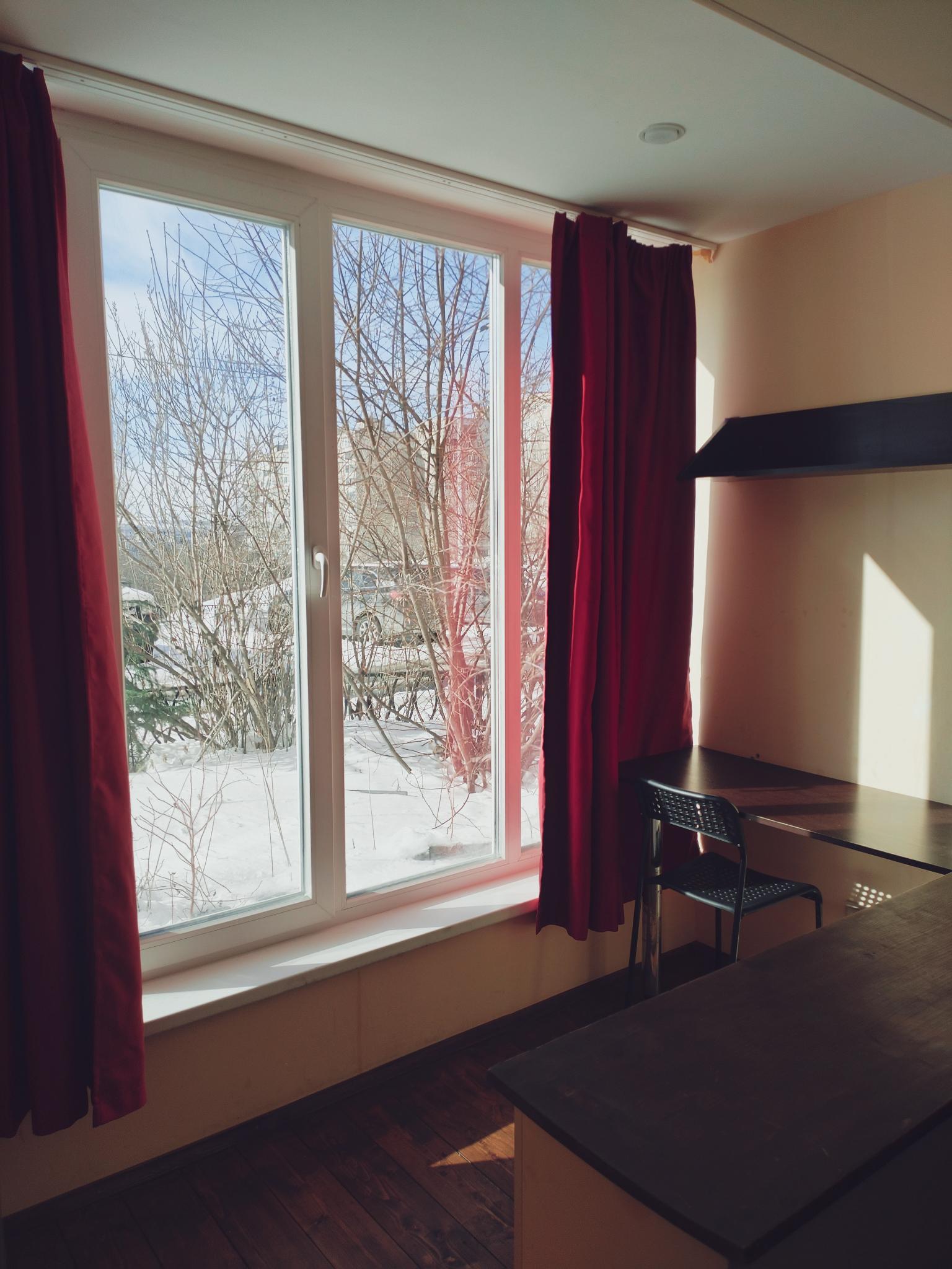 Фото Снегири