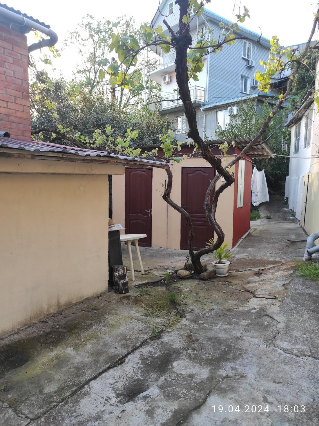 Фото Под пальмой