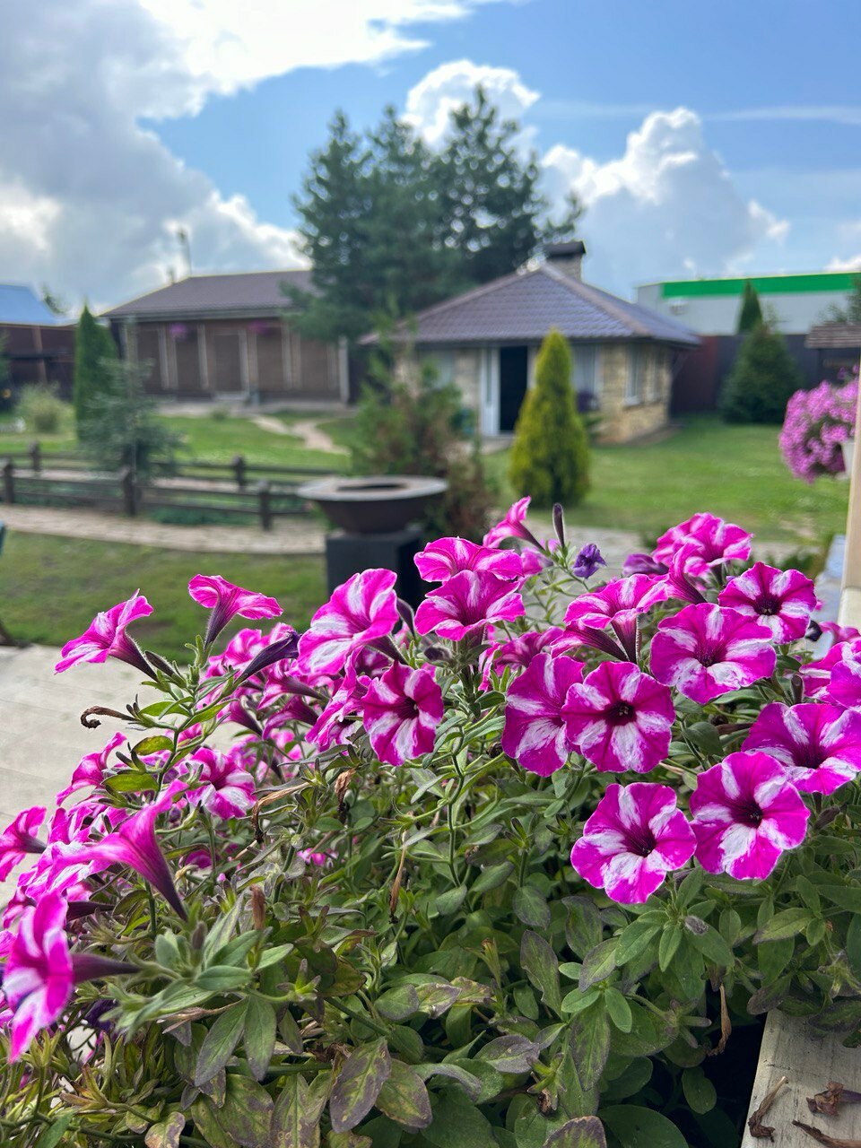 Фото Джан Туган