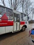 Будница (Smolensk Region, Velizhskiy munitsipalny okrug, derevnya Budnitsa, Tsentralnaya ulitsa), public transport stop