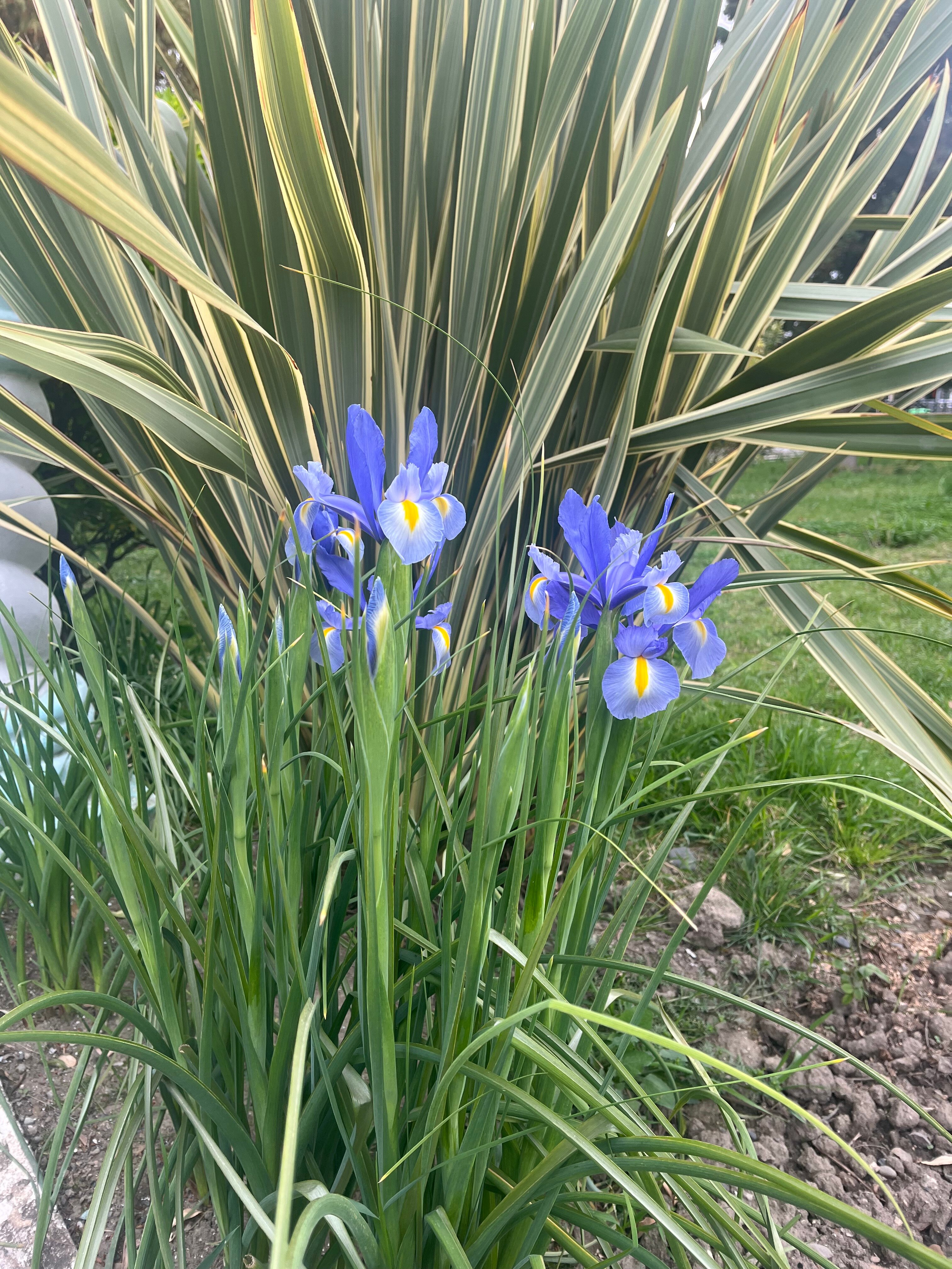 Фото Апартаменты Funduke