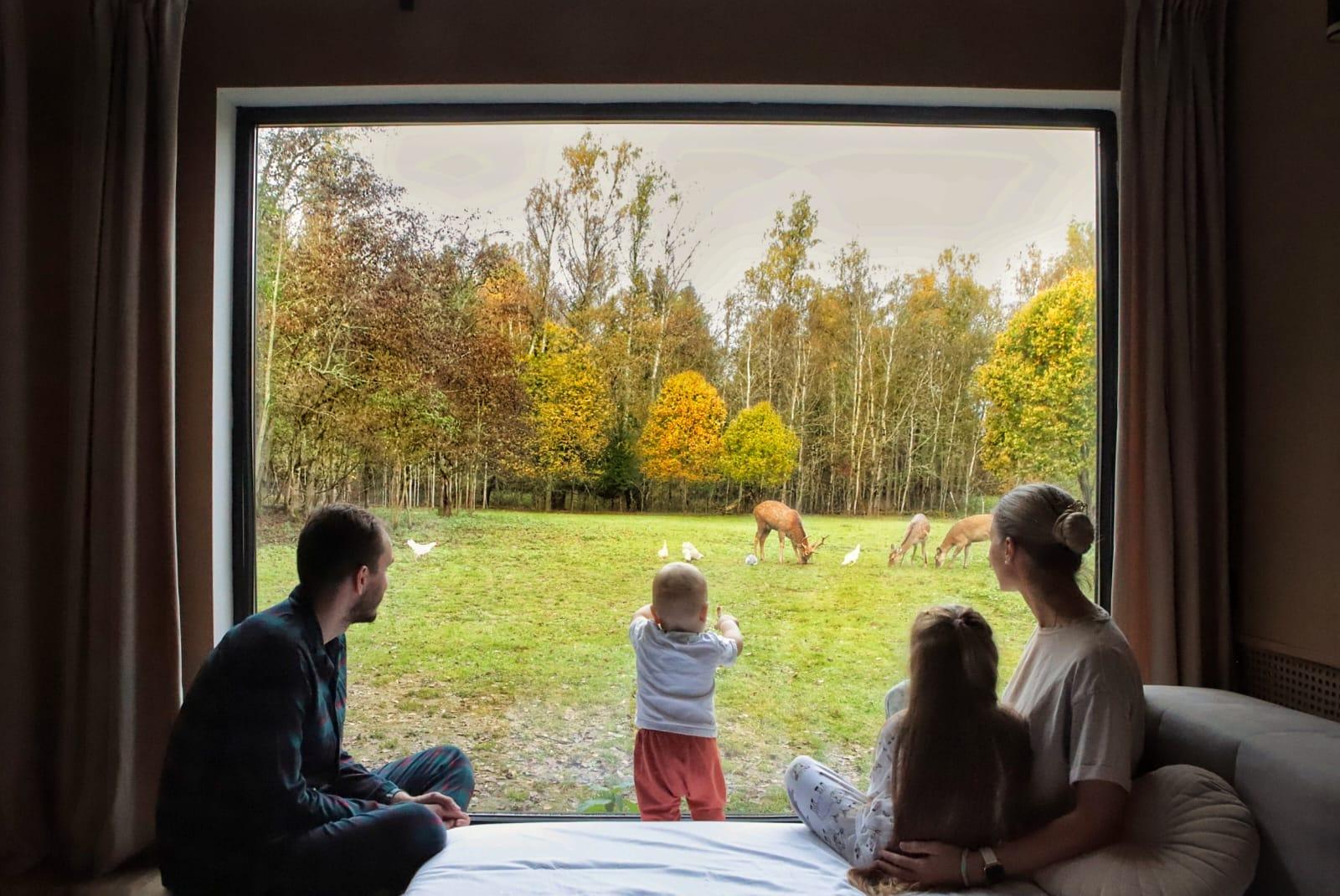 Фото Бэмби Лэнд