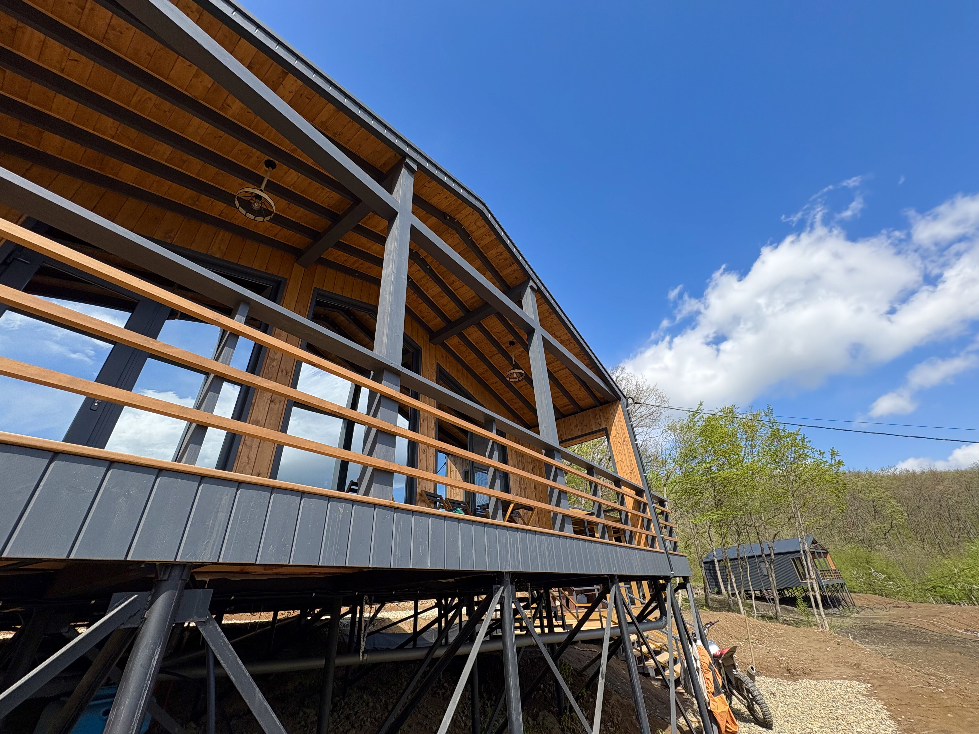 Фото Лес Азовская