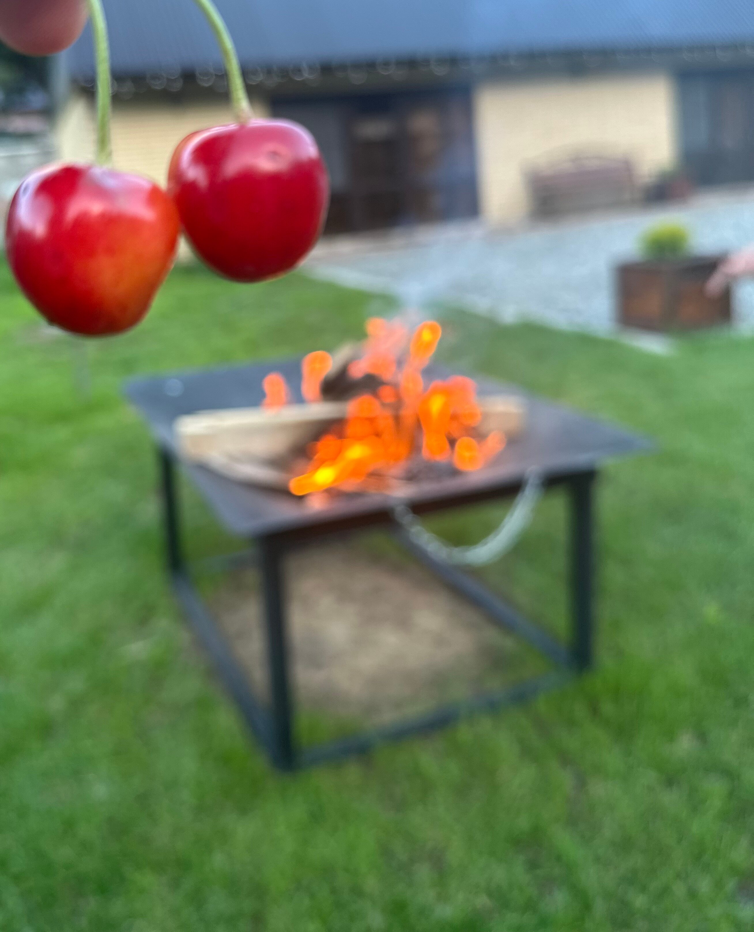 Фото Малинки