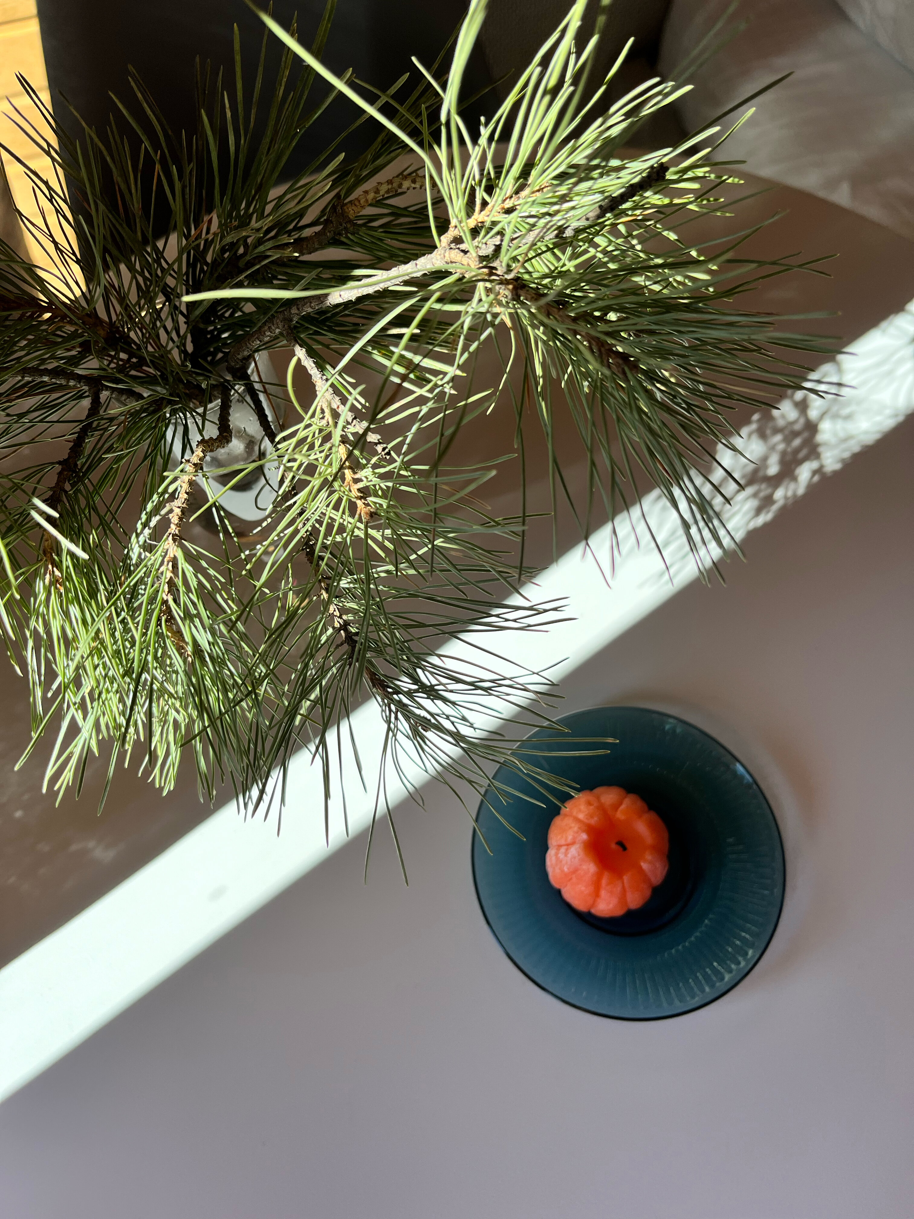 Фото Бирюза Алтая