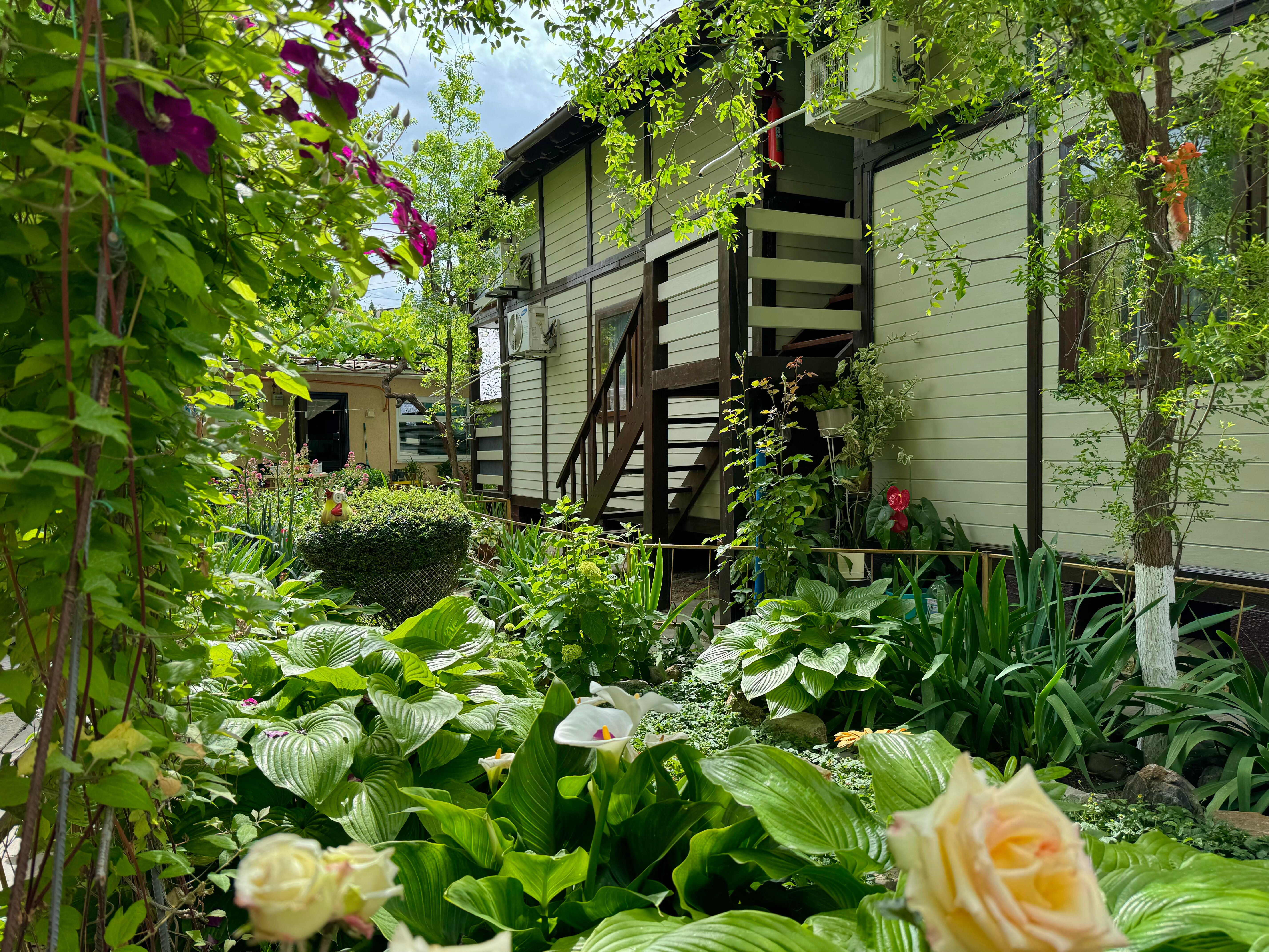 Фото отеля 4