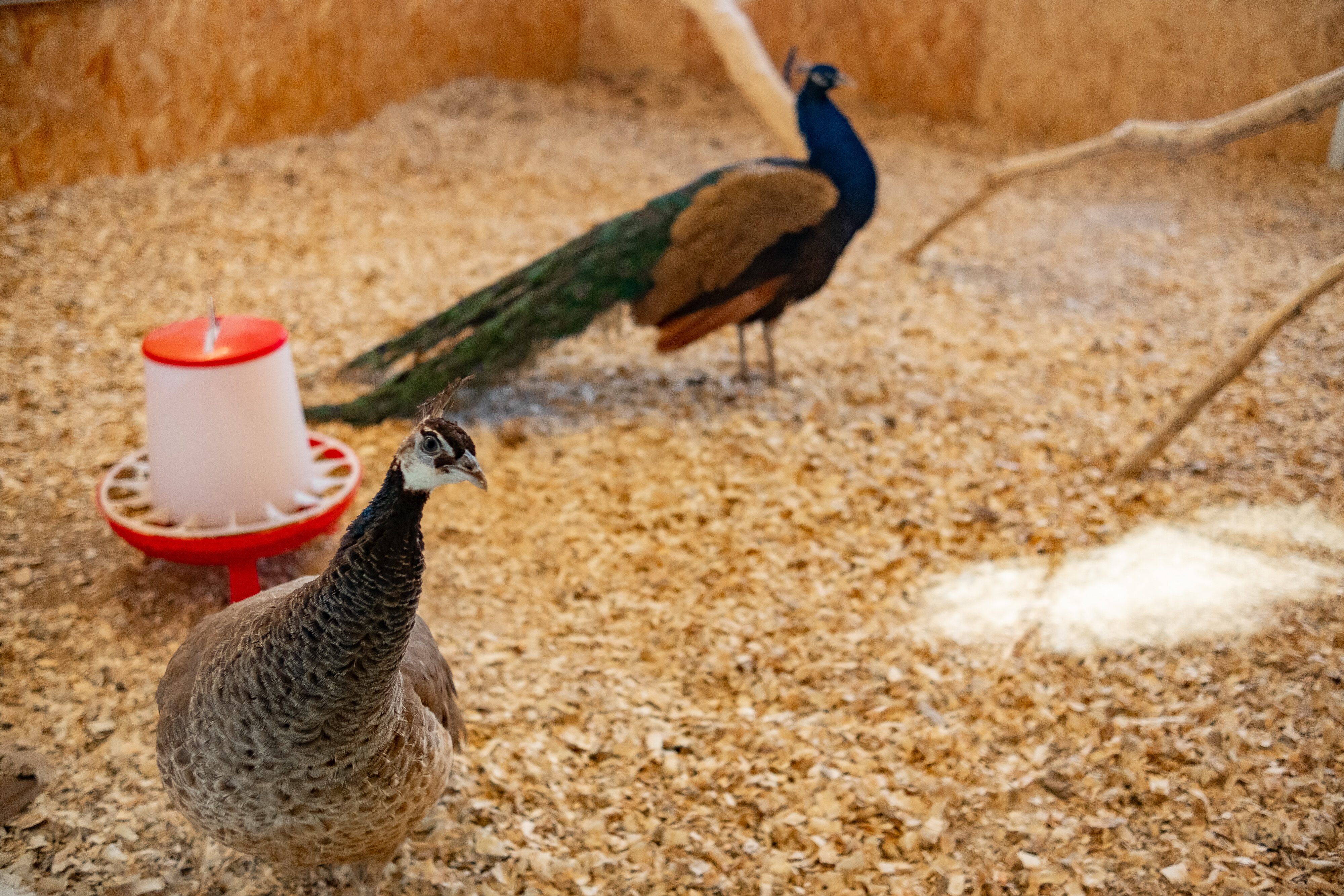 Фото Эко Усадьба Охотничья заимка