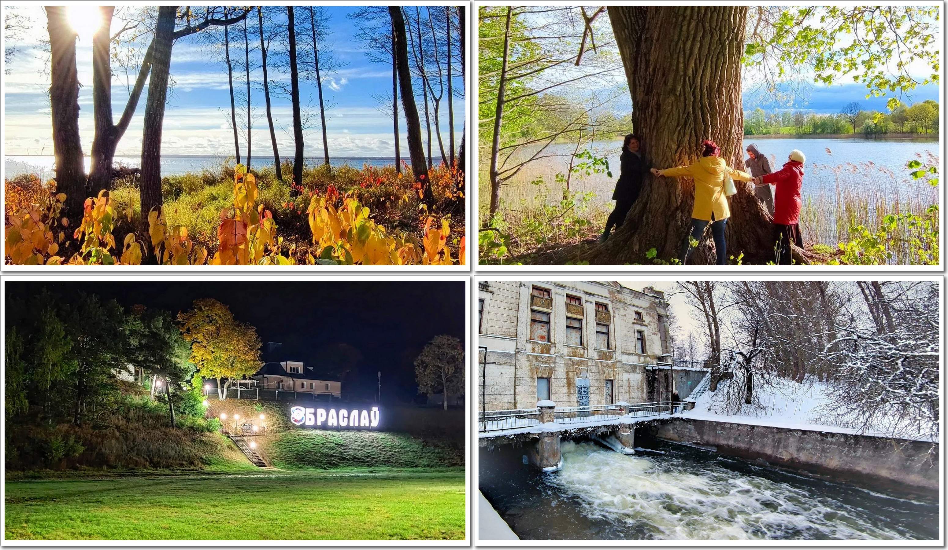 Фото Муражье