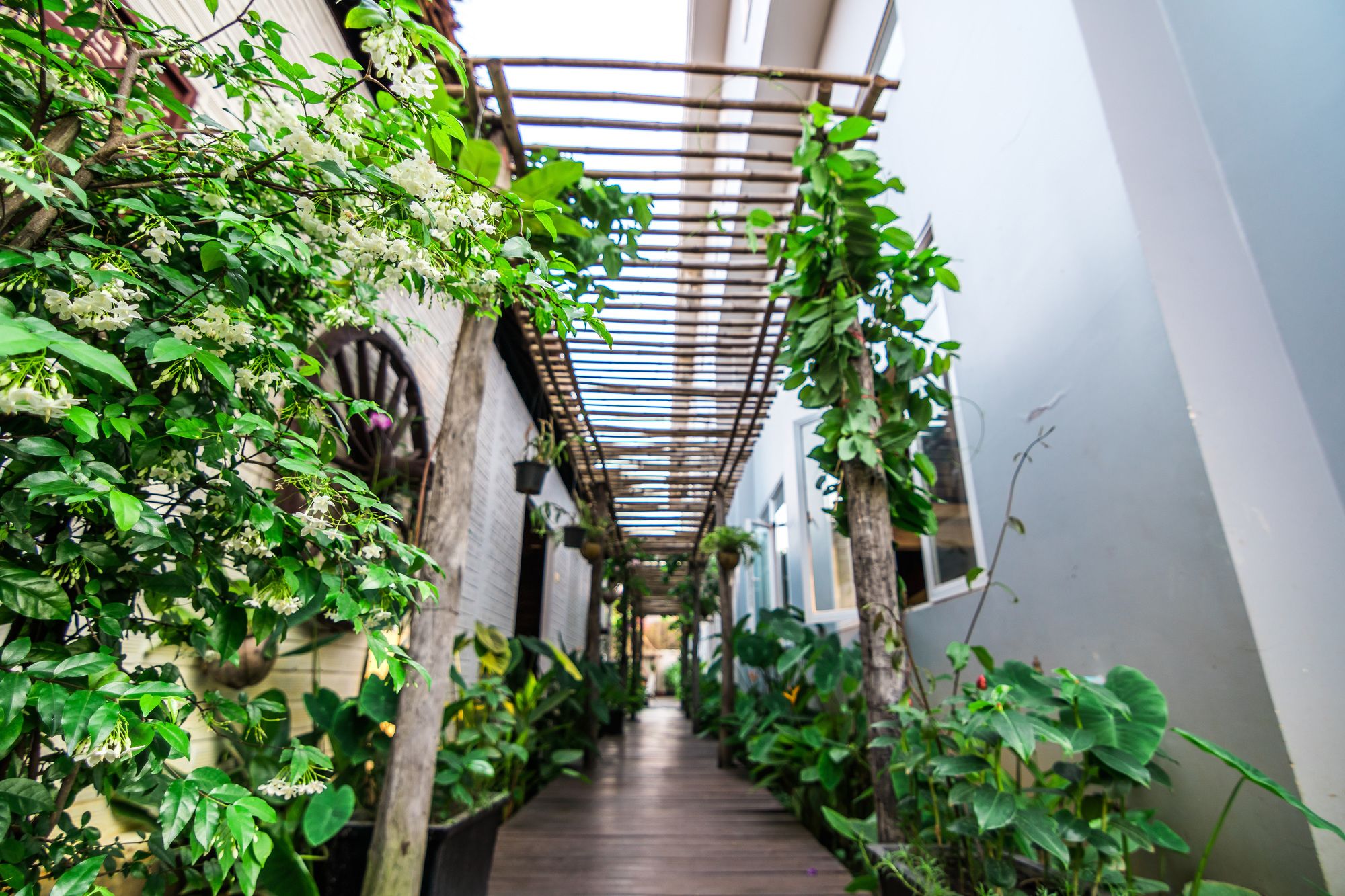 Фото Wheel Garden Residence