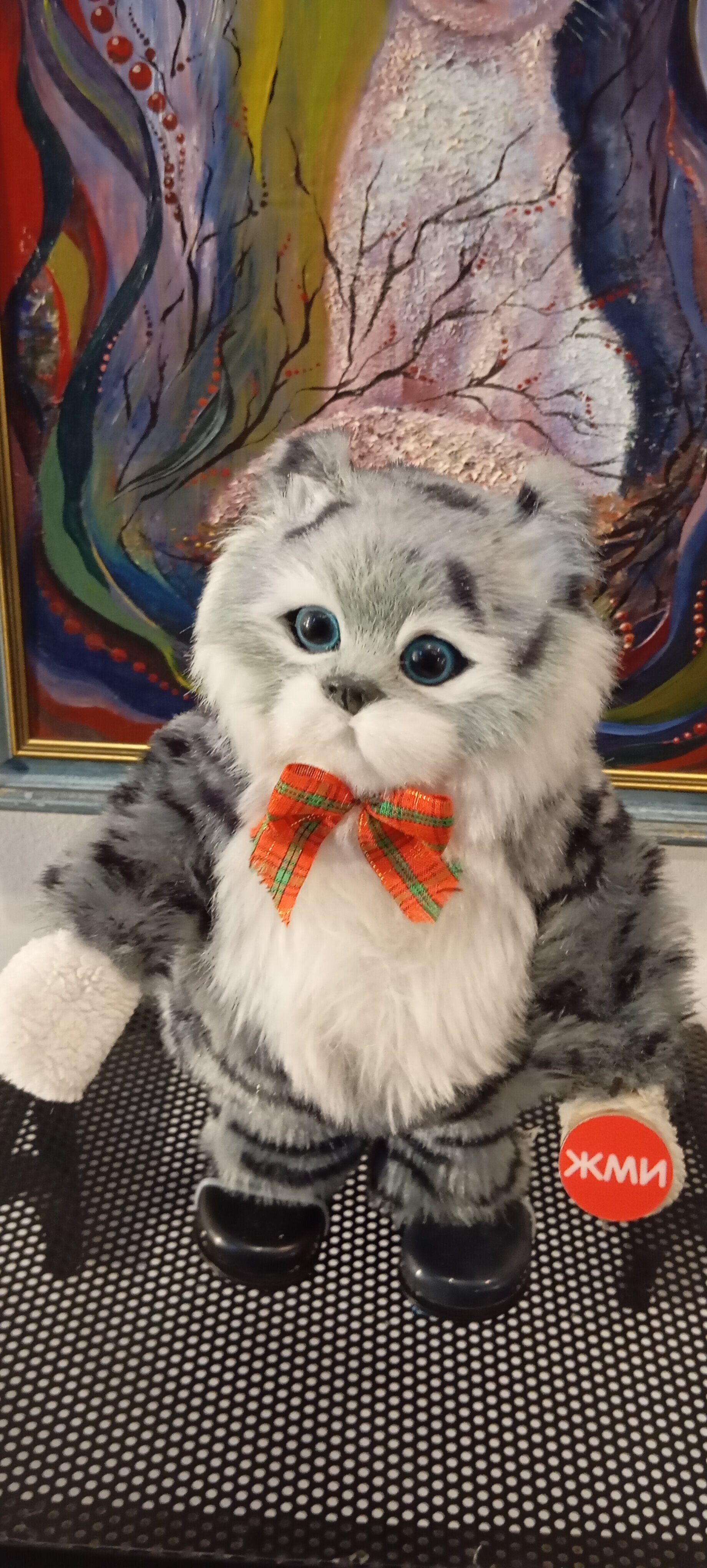 Фото Кошкин дом