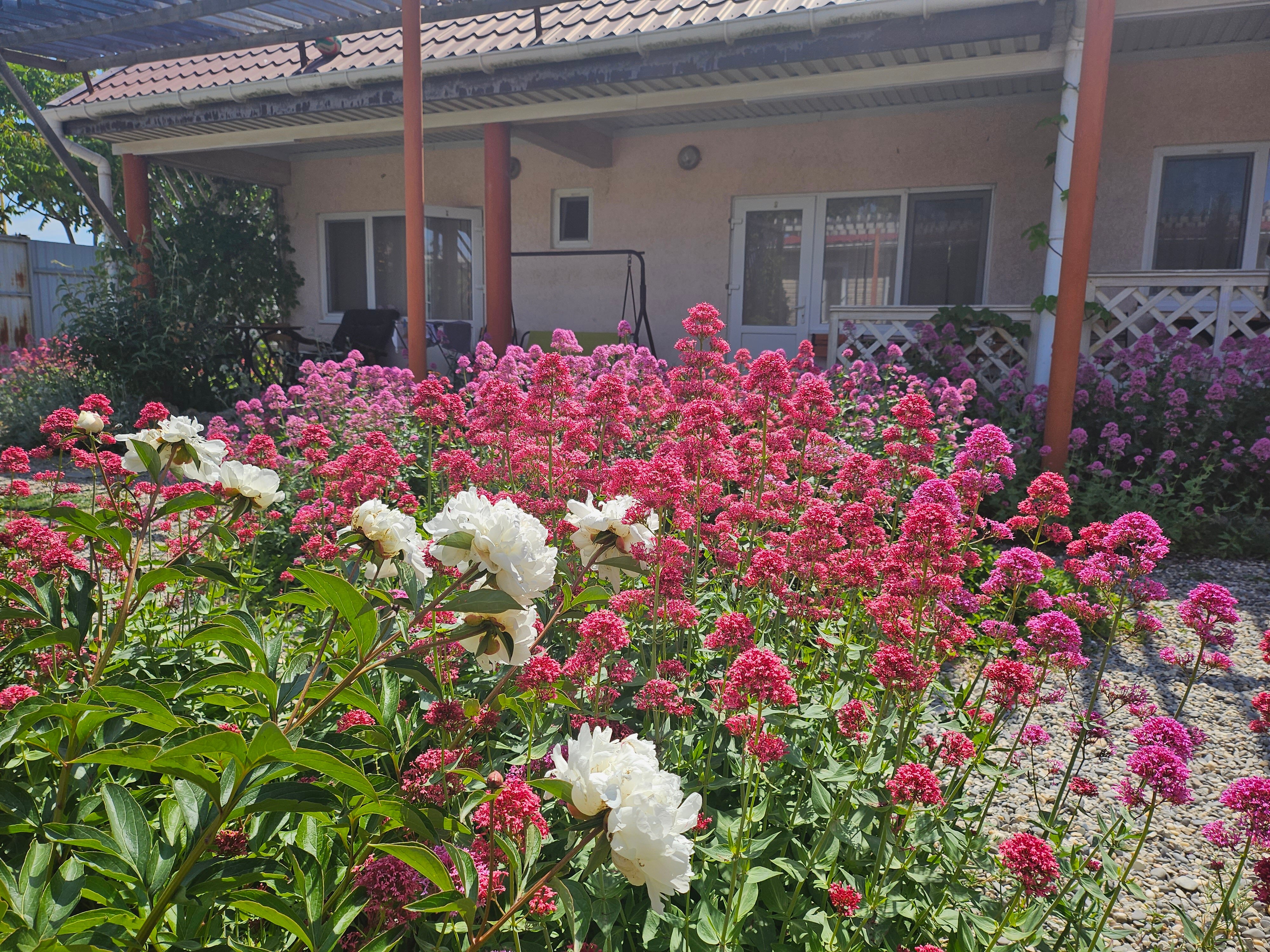 Фото ЧерноМорское