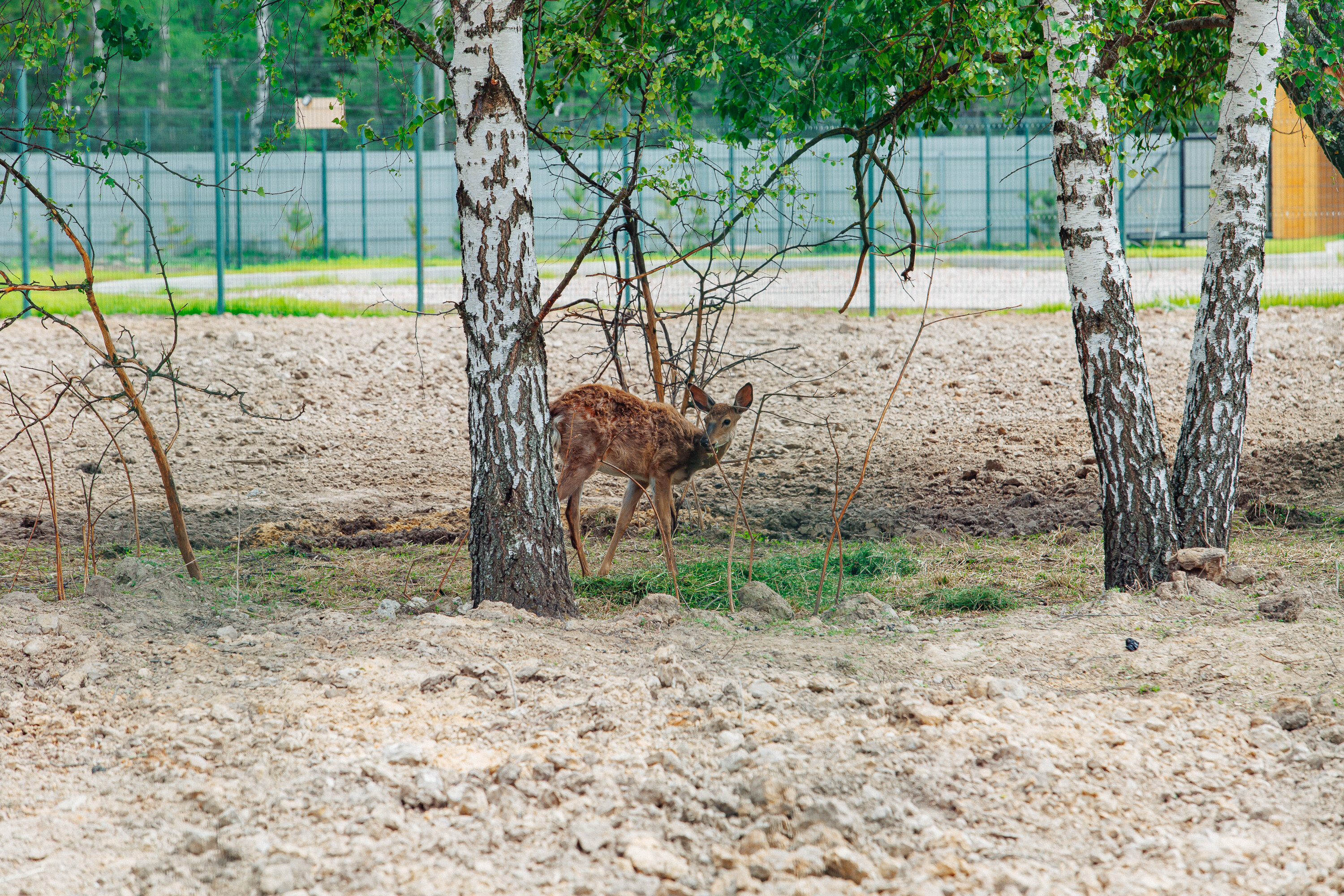 Фото БлагоДача