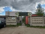 Золотой Тигр (ulitsa Posyolok Tikhvinka, 34Б), sports club
