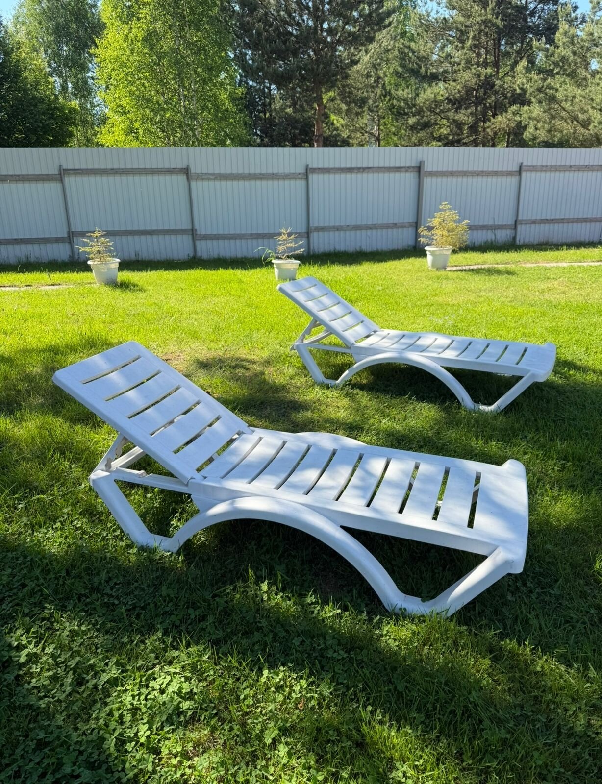 Фото Соболиха