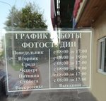 Заполнение документов в ФМС (Leninskogo Komsomola Avenue, 32А), migration services