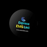 Express EMS Lines (Ahmetov kóshesi, 20) ، خدمات شحن