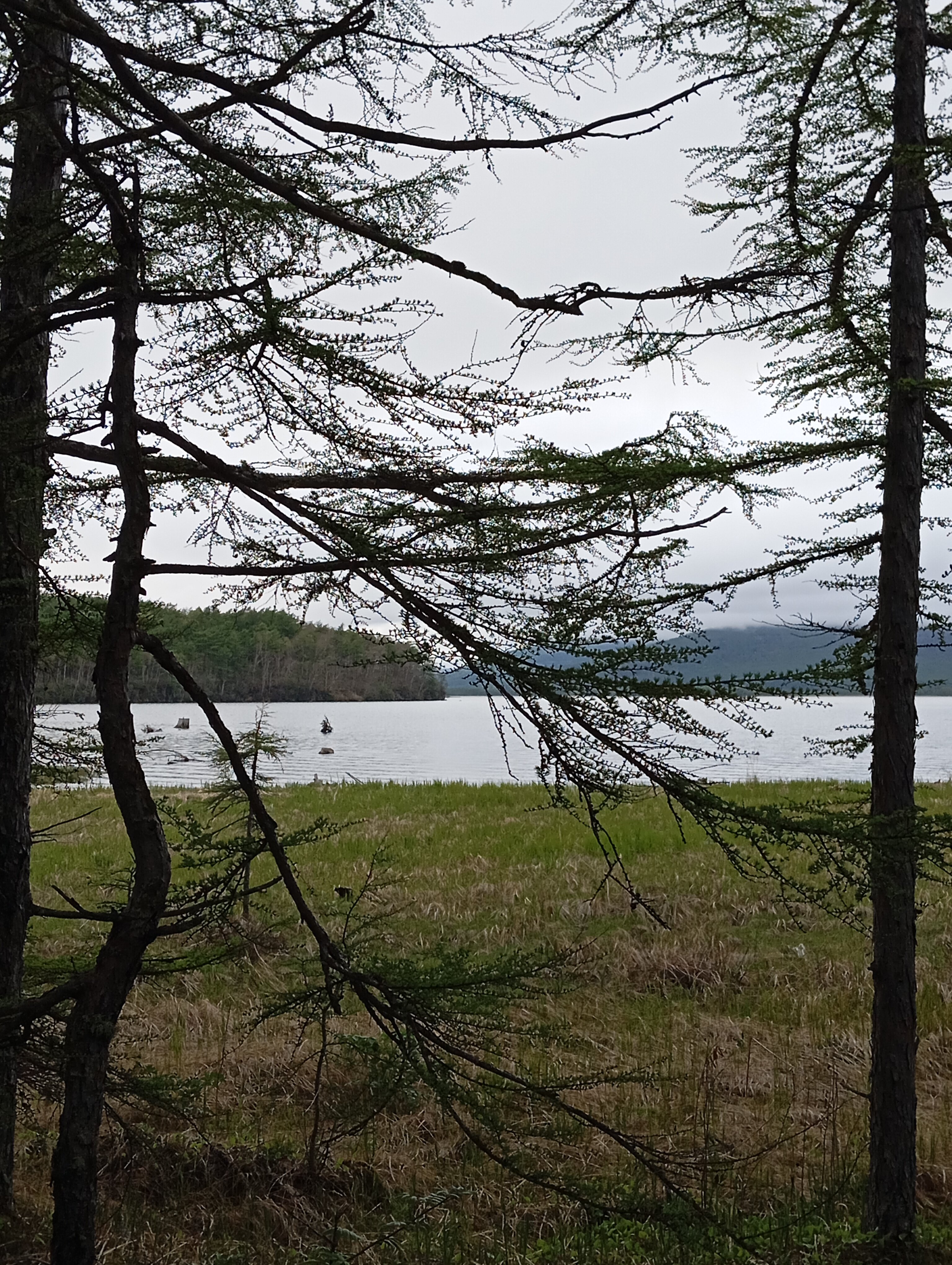 Фото Туристическая деревня Ларга