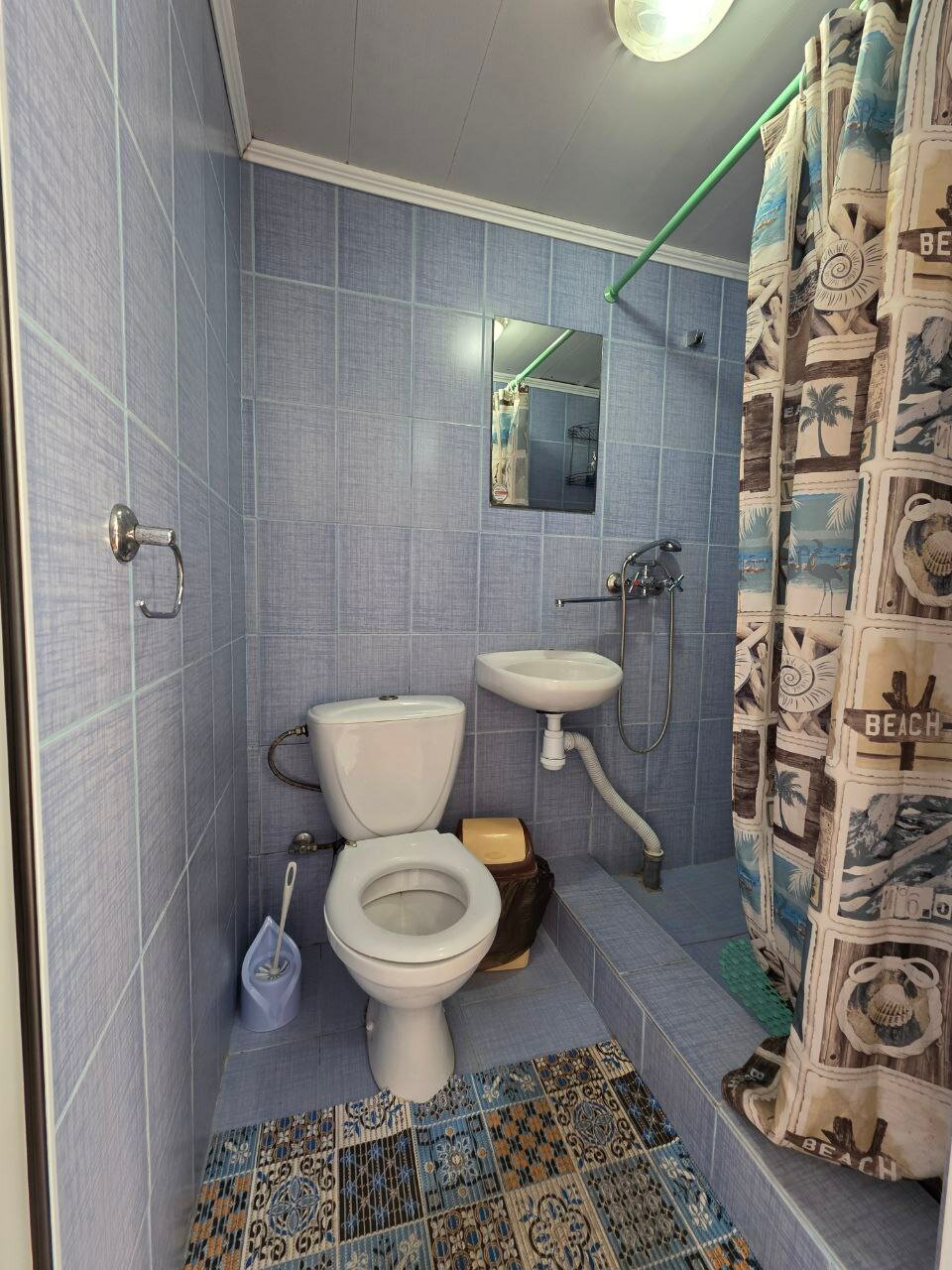 Фото Абрикос