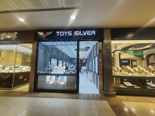 Toys Silver Fotoğraf 4