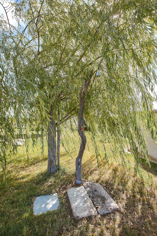 Фото Podere San Giuseppe