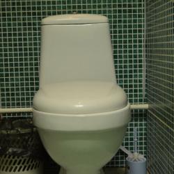 Фото Виктория Мира 5