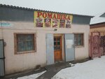 Romashka (Manap Kokenov Street, 17А), cafe