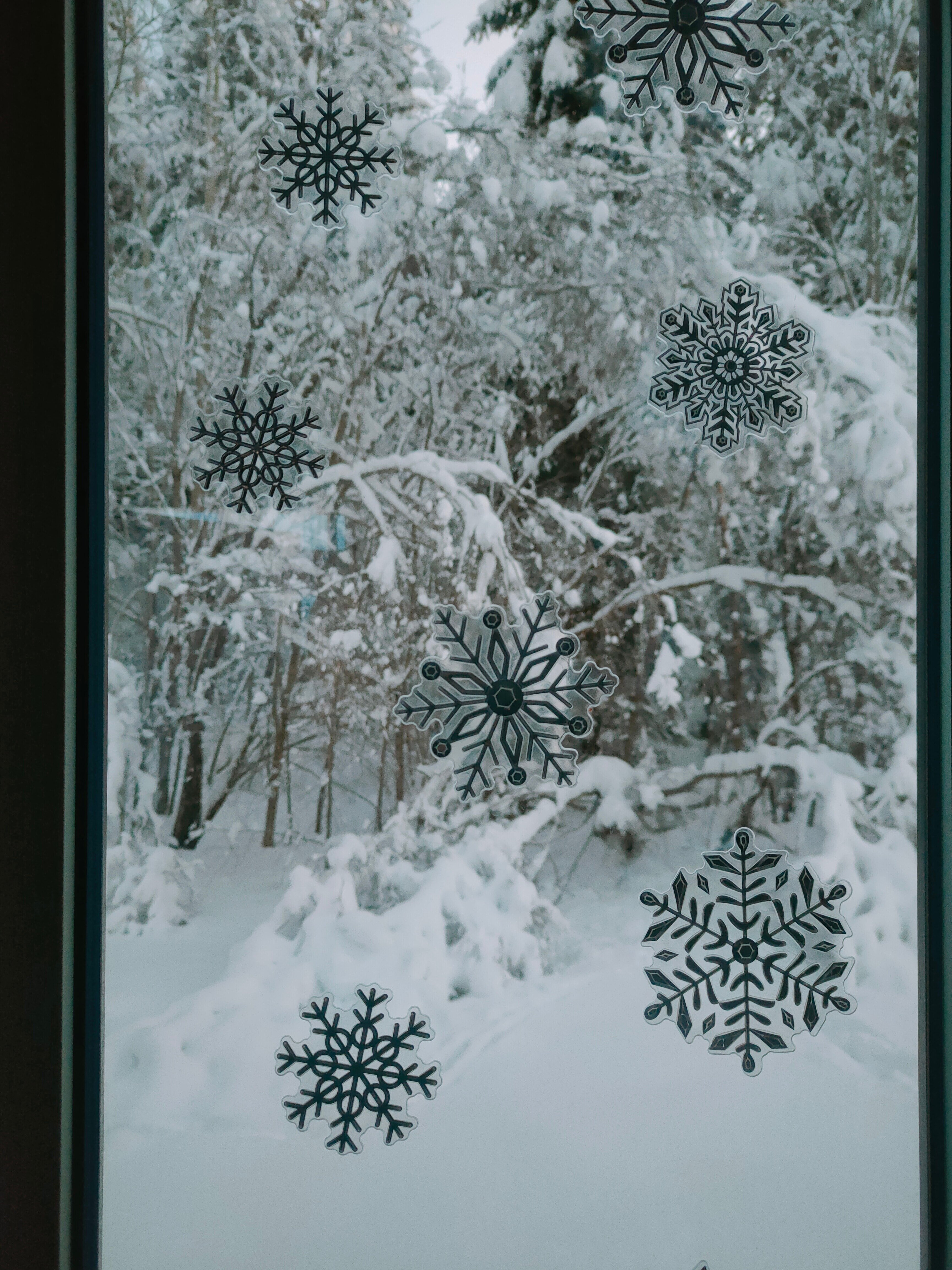 Фото Иннасенлахти