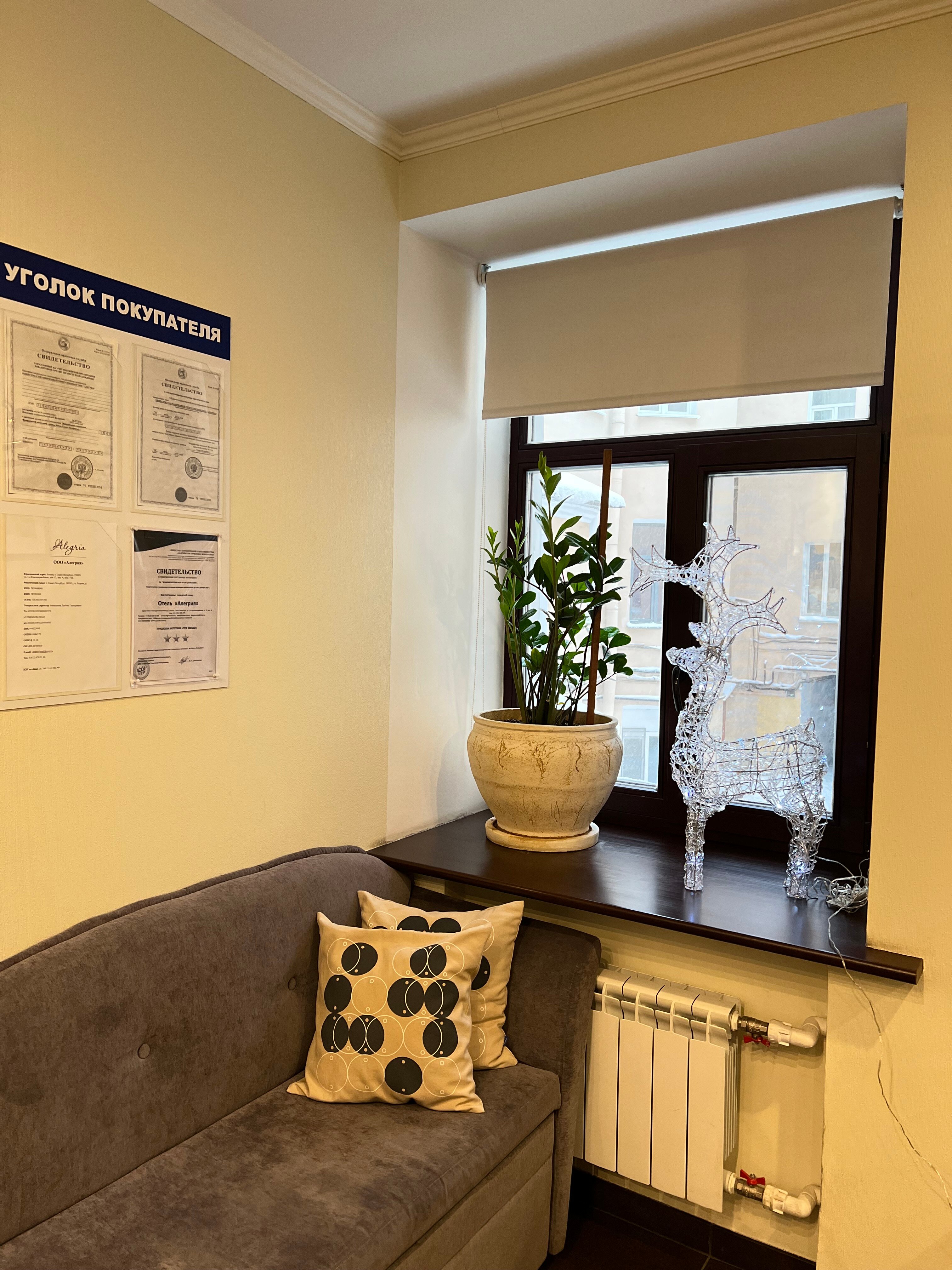 Фото Алегрия