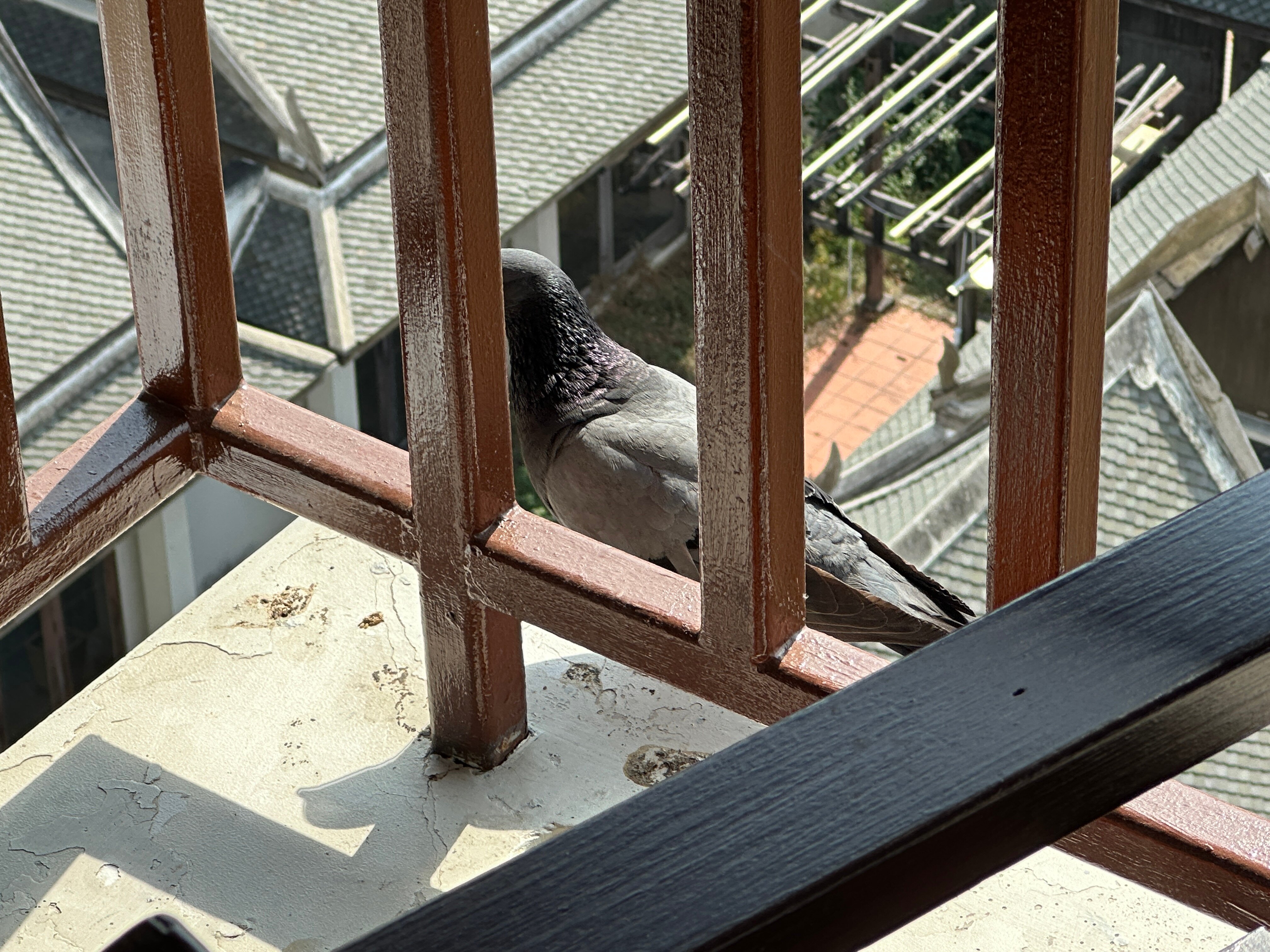 Фото Royal Heritage Pavillion