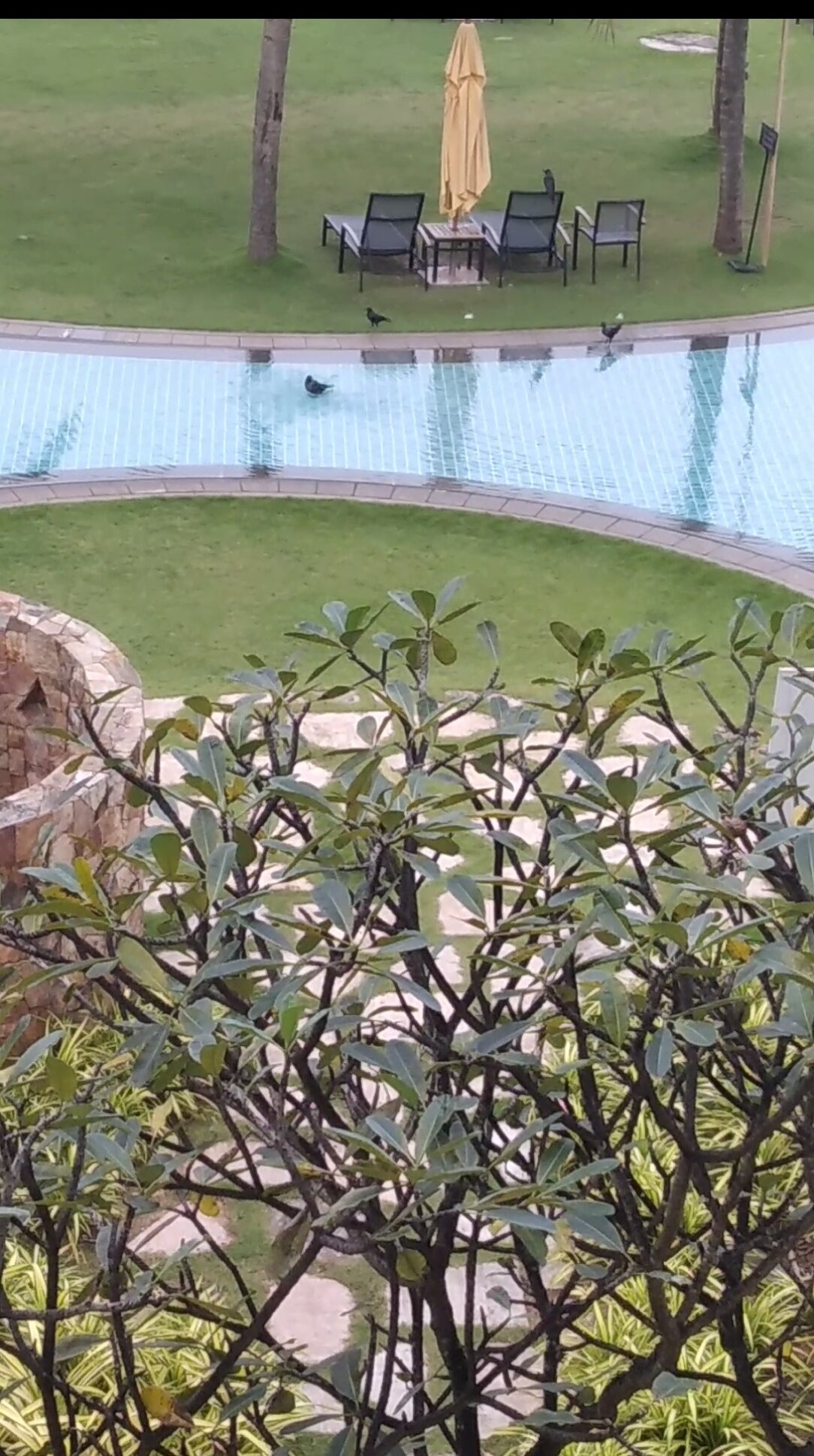 Фото Heritance Negombo