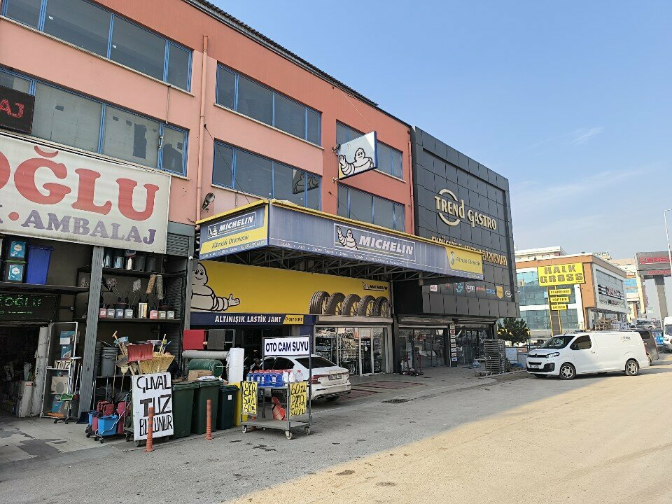 Tires and wheels Michelin - Altınışık Lastikçilik, Ankara, photo