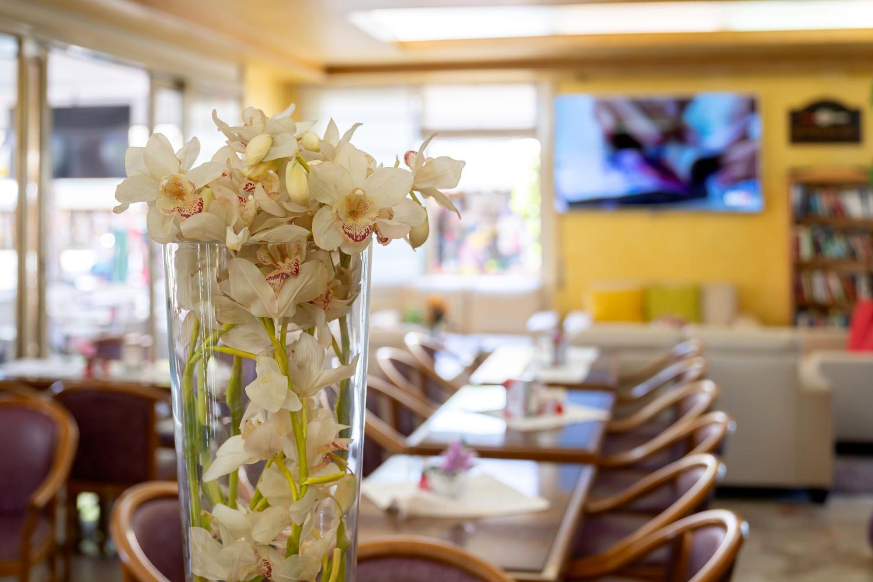 Фото Hotel Harry's