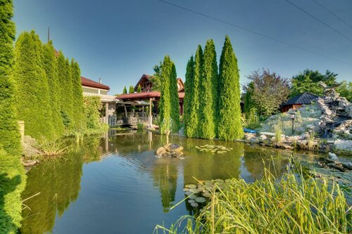 Гостиница Hotel David