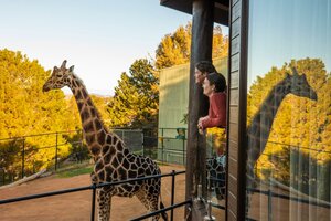 Гостиница Jamala Wildlife Lodge