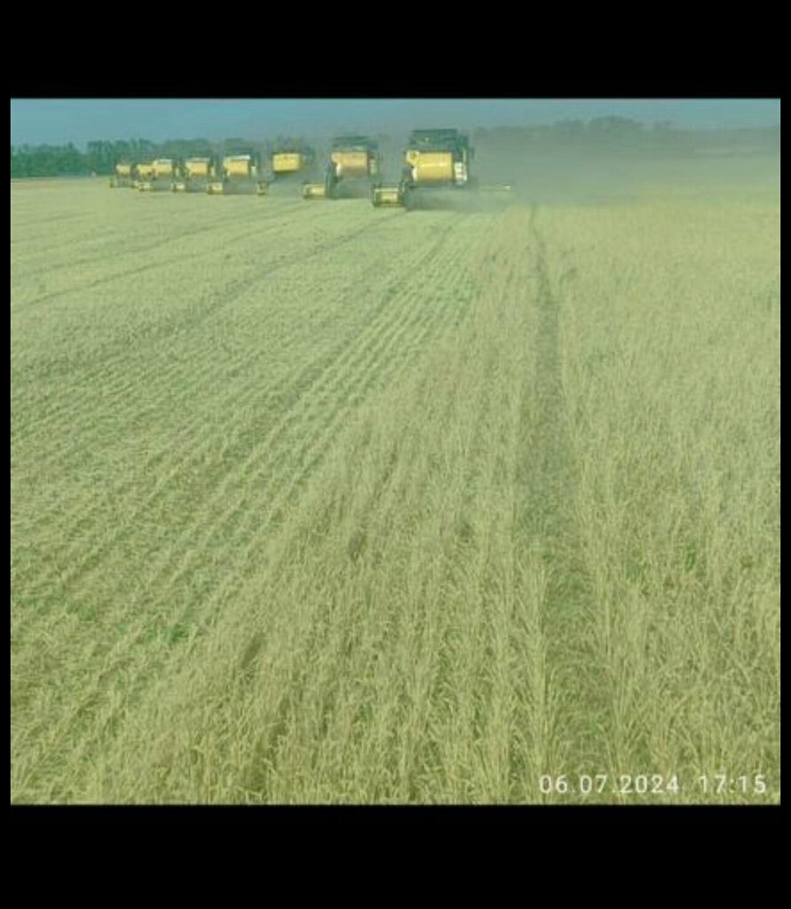 Agricultural enterprise Опытная станция Пролетарская-филиал ФГБНУ Аграрный научный центр Донской, Proletarsk, photo
